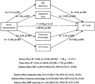 Performance Under Stress: An Eye-Tracking Investigation of the Iowa Gambling Task (IGT)